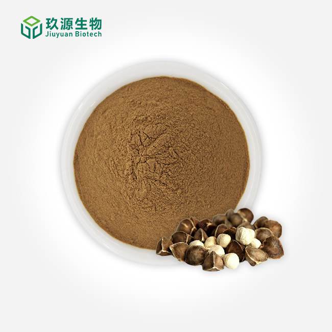 Moringa Seed Extract Powder